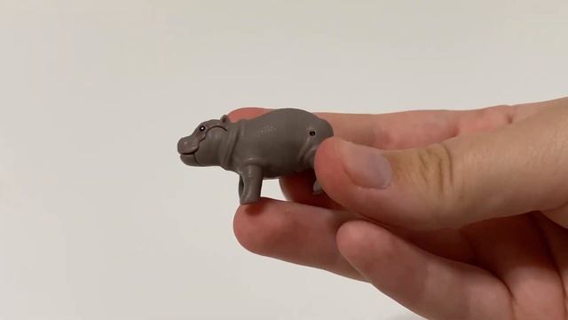 KINDER NATOONS 2025 • СОБРАЛИ ВСЮ КОЛЛЕКЦИЮ?