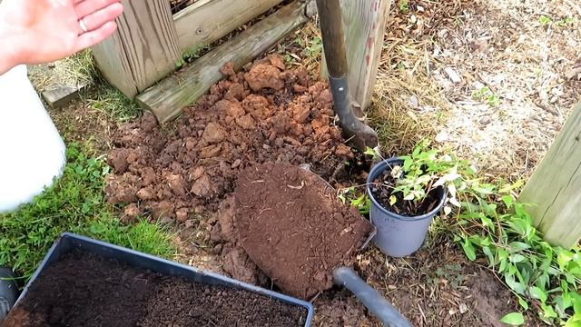 Basic Principles for Amending Soil and Planting Cucumber, Squash, & Zucchini Seeds or Transplants смотреть онлайн