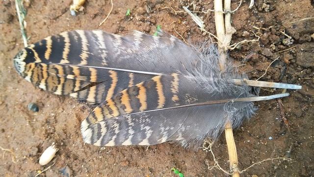 М Алигер  Прошу тебя #поэты20века #стихиолюбви