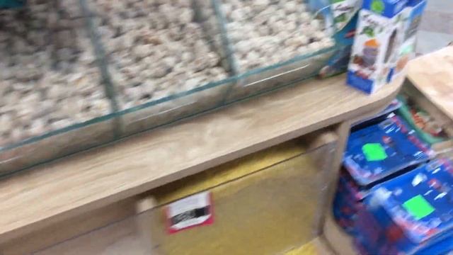 Just My Favourite Shop With Dried Fruits!👍Обзор любимого магазина сухофруктов!🌞❤️