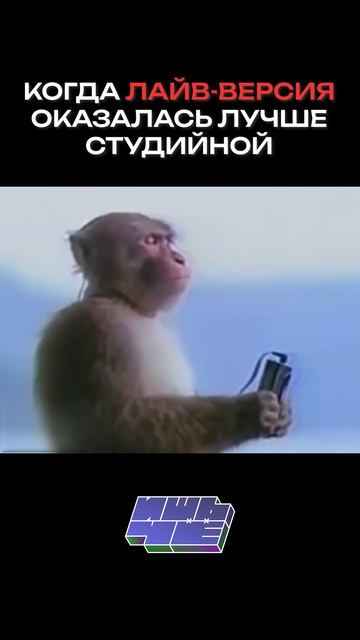 Лайв-версия трека оказалась лучше?  #music #стрим #песни #music #квашеная #ремикс #кавер #каверденс