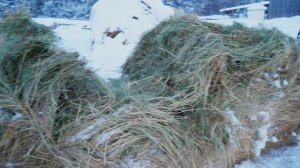 КУПИЛ 2 ДОМА В ДЕРЕВНЕ | ЕЁ ДЕЛАЛИ НАШИ ДЕДЫ | РАБОТА СТАЛА В РАДОСТЬ