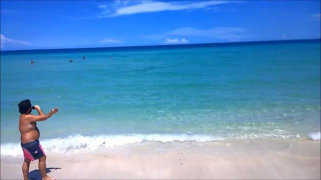 Sharks Miami Beach August 6th 2014 смотреть онлайн