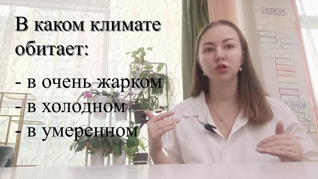 Учимся классифицировать. Первый урок по ЗООлогии для младших школьников смотреть онлайн