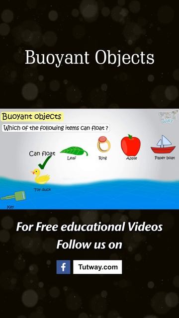 Buoyant Items | Buoyant Objects | Properties Of Solids And Liquids | Science