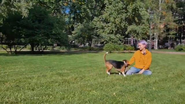 Как не воспитать монстра? смотреть онлайн