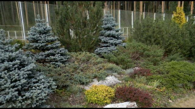 Игорь Северянин  Поэза истины #философскаялирика #поэтыСеребряноговека