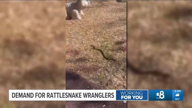 Working for You | April 28 смотреть онлайн