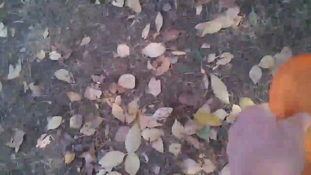 Sony Ericsson Xperia Mini pro teszt videó [www.andromedar.hu] смотреть онлайн