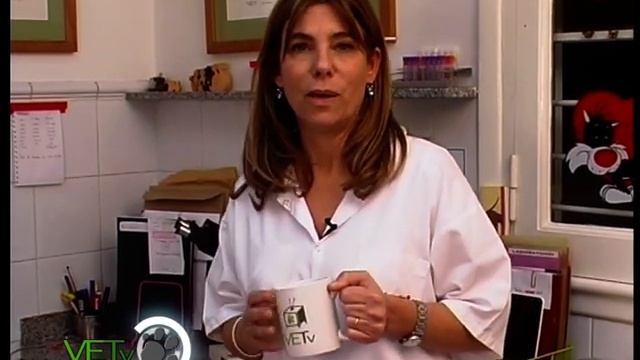 Insuficiencia renal crónica Holliday Informe VETv 07 09 14 смотреть онлайн