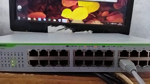 pra-test Allied Telesis AT-GS900/24 смотреть онлайн