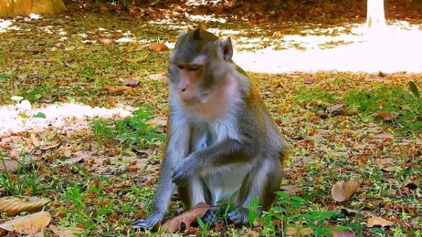 Ara and baby Tilly happy every day