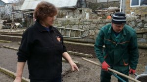 Выращивание ялтинского лука из семян - посев в парники на рассаду