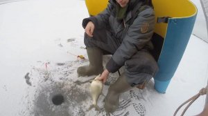 Мастерство на  зимней рыбалке на Маныче. Опыт Артема. Часть Вторая.  при участии Юрия Философа