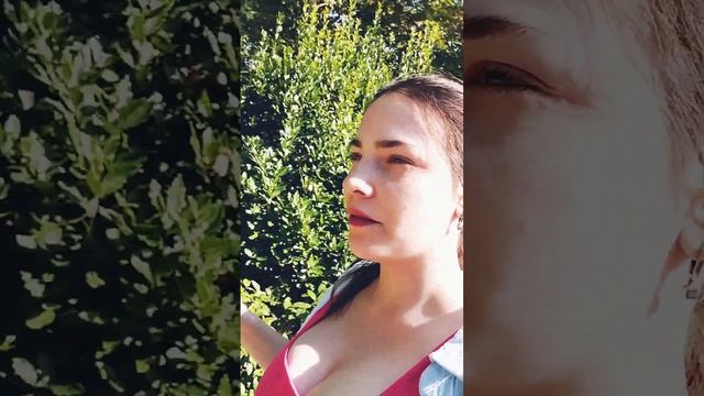 я на связи в Ялте смотреть онлайн