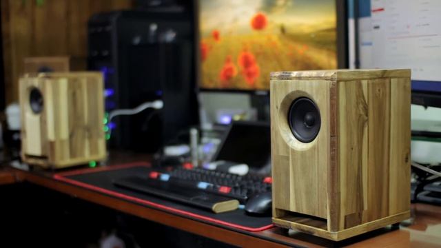 DIY Speaker Test - Tymphany TC9FD18 смотреть онлайн