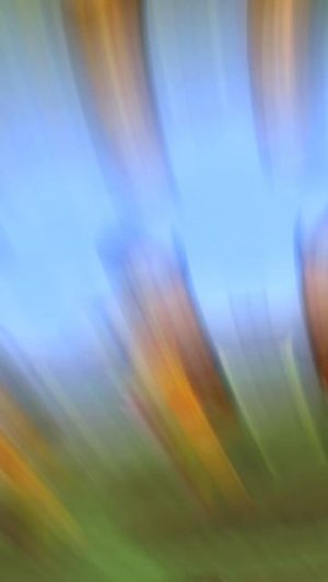 Песня про пьяного батю и сына в Minecraft!