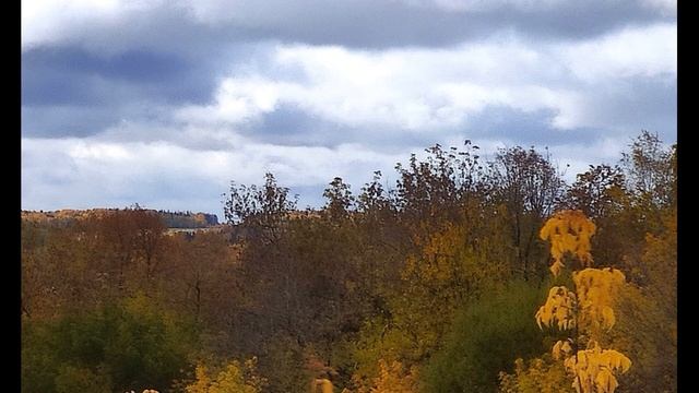 И Бунин  Шумели листья, облетая #стихиобосени#философскаялирика#поэтыСеребряноговека