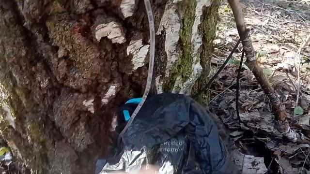 Установка банки(баклашки) под березовый сок смотреть онлайн