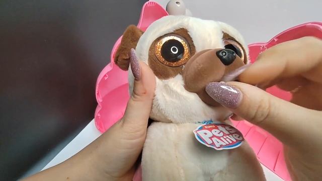 POOPING PUPPIES. Dog Poops. #unboxing