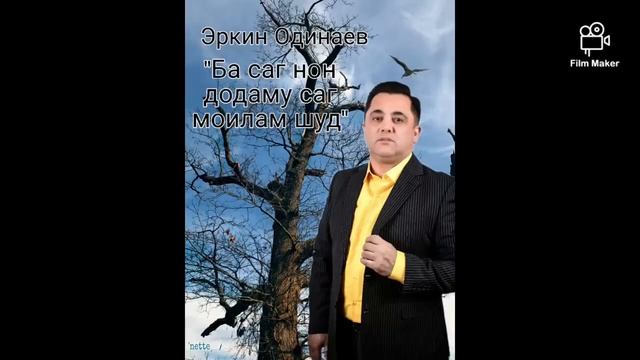 Эркин Одинаев _БА САГ НОН ДОДАМУ САГ МОИЛАМ ШУД смотреть онлайн