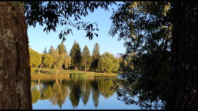 Е Евтушенко  Очарованья ранние прекрасны #стихиожизни #философскаялирика   #поэты20века