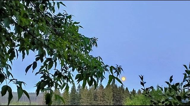 З Гиппиус  Мера #философскаялирика #поэтысеребряноговека