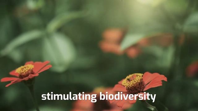 Native Plants | Environment - Smart Solutions Series | Planet Smart City [EN] смотреть онлайн