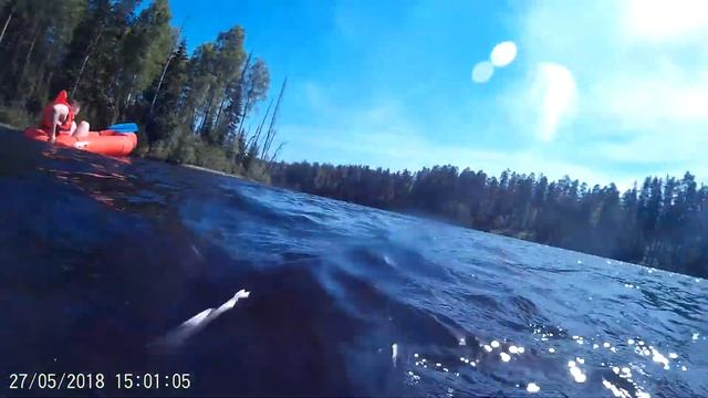 14590004 смотреть онлайн