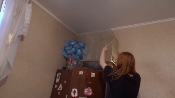 VLOG Реакция Даши на сюрприз  Она заплакала