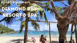 Отель с Оленями. Diamond Bay Condotel Resort Nha Trang. Обзор отеля. Пляж Ан-Вьен Nhu Tien Beach