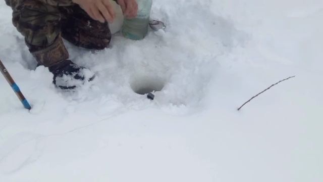 Зимняя рыбалка на реке Тура 05.01.2025