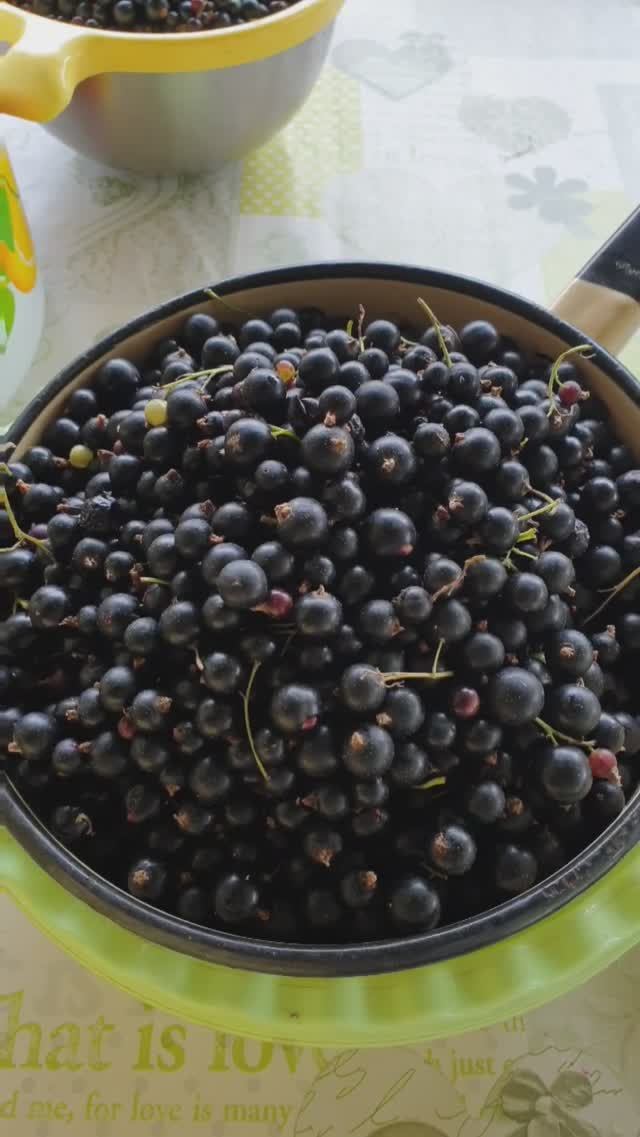 Чёрная смородина на зиму #назиму #рецепты  #чернаясмородина