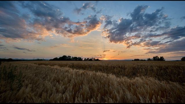 И Никитин В синем небе плывут над полями #стихиолете #поэты19века смотреть онлайн