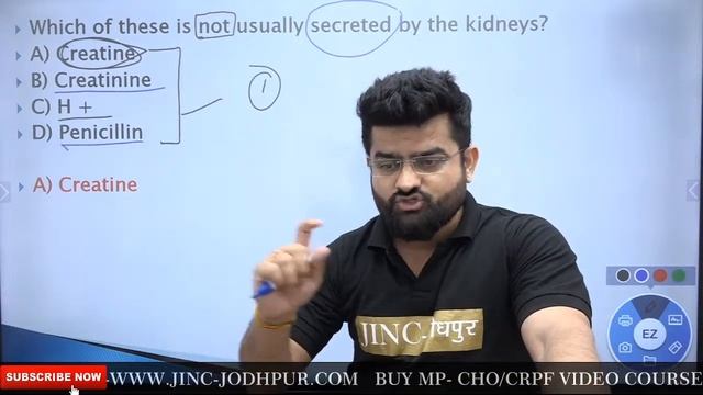 Renal System Part-2 Anatomy & Physiology смотреть онлайн