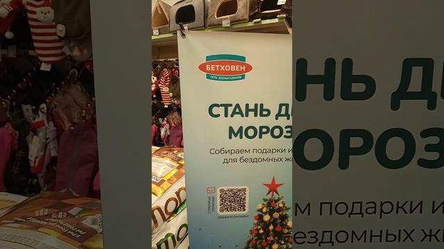 мини сбор форум в Марьино) смотреть онлайн