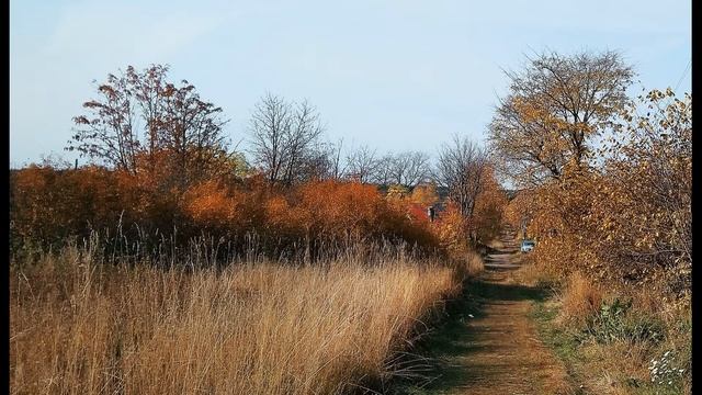 Н Рубцов  Улетели листья  #стихиобосени#философскаялирика #поэты20века