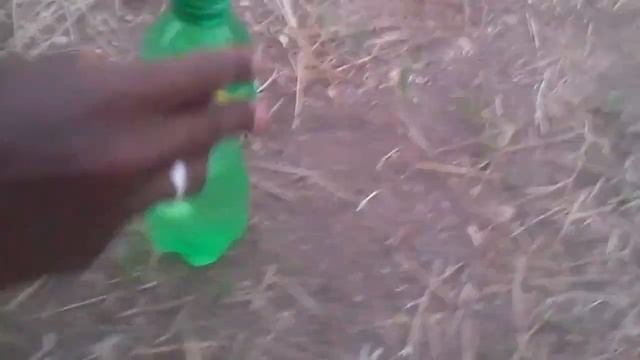 7up Reaction with Mentos - Funny Experiment #7up #mentos #experiment смотреть онлайн