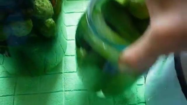 Свидание на кухне ,маринуем огурчики! смотреть онлайн