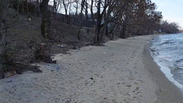 Гуляем с Никой по берегу 17.03. смотреть онлайн