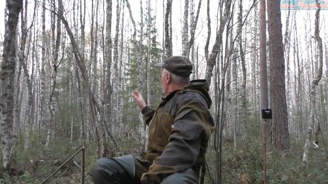 Ток глухаря подслух почему попутчик смотреть онлайн