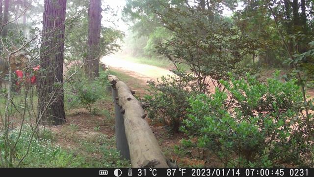 Dust on Pearl Lane смотреть онлайн