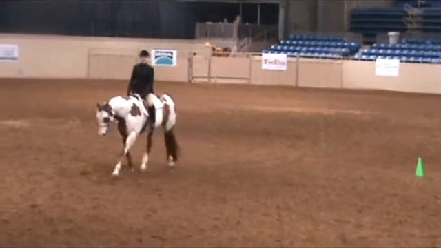 2013 Color Breed Congress-YA Sr Hunt Seat Equitation смотреть онлайн