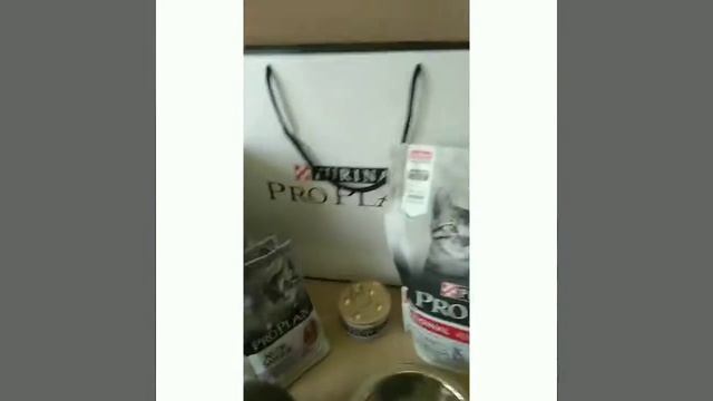 Кошеня їсть корм Purina Pro Plan смотреть онлайн