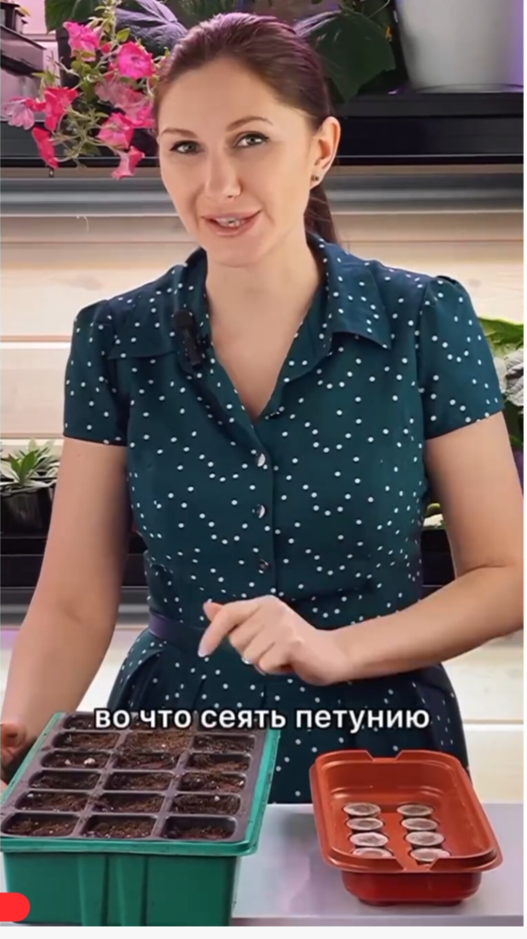 Плюсы и минусы посева в грунт в горшочках✅ смотреть онлайн