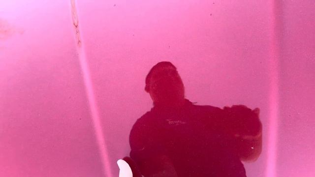 12 Maserati смотреть онлайн