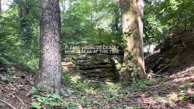 Deadly Hybrid Bear смотреть онлайн