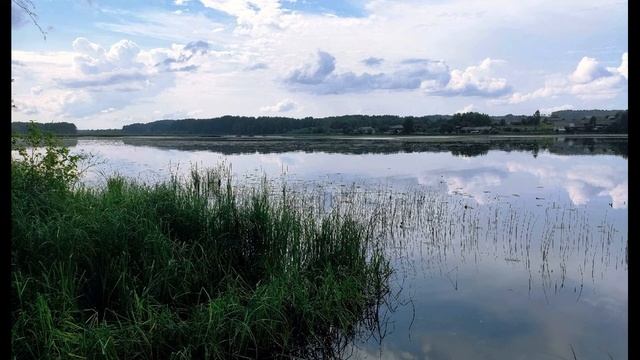 Мирра Лохвицкая  Спящий лебедь #стихиодуше #поэтыСеребряноговека