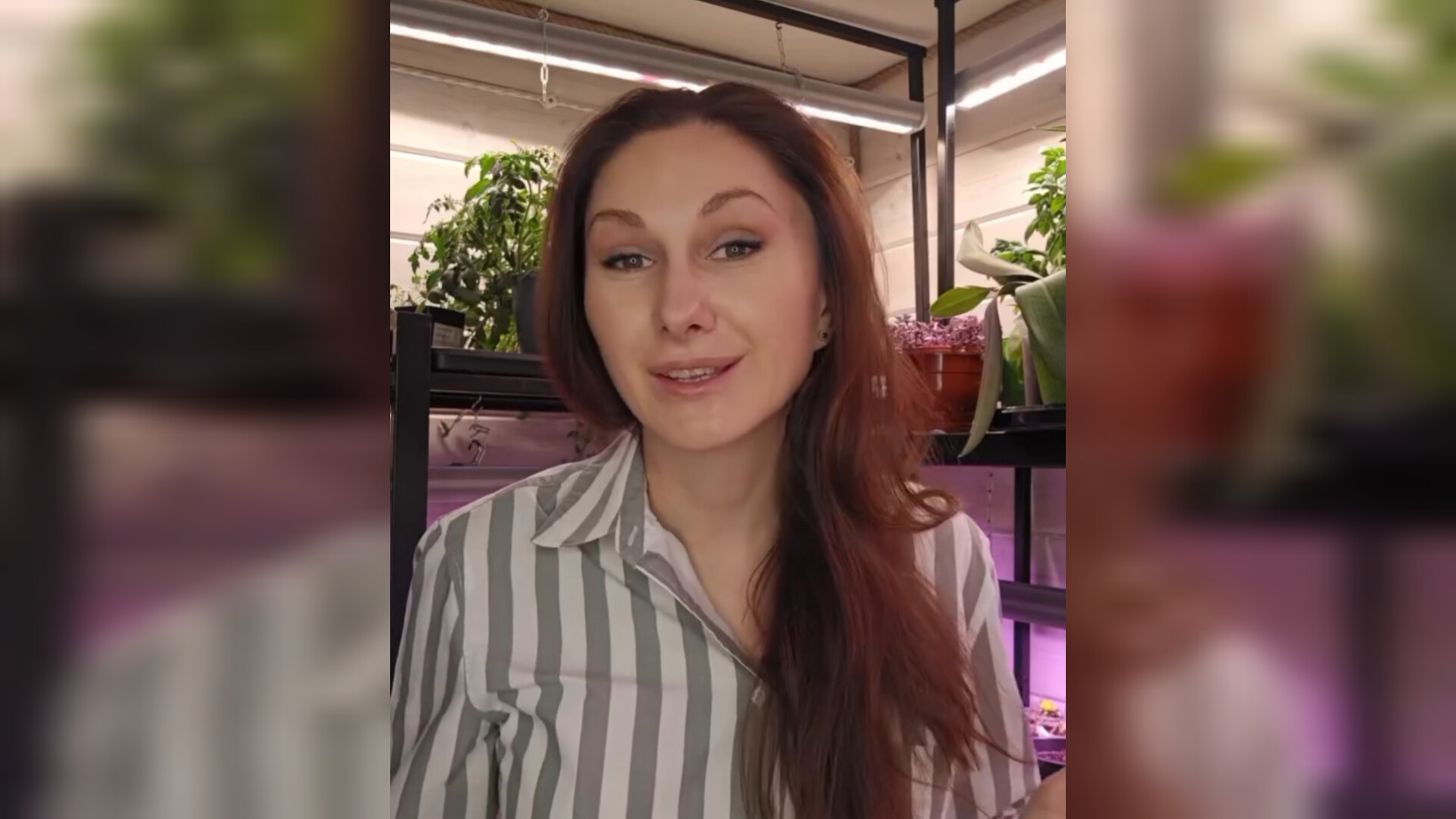 Фитолампы от Красивой грядки 💡 смотреть онлайн