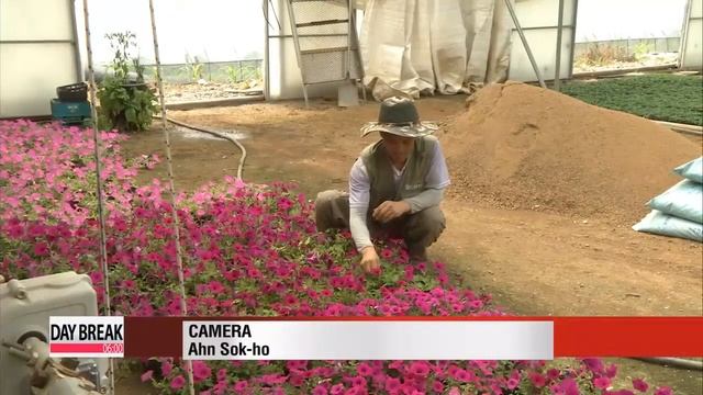 Smart Farm technology frees farmers from daily grind 스마트폰으로 온실관리 "스마트팜" смотреть онлайн